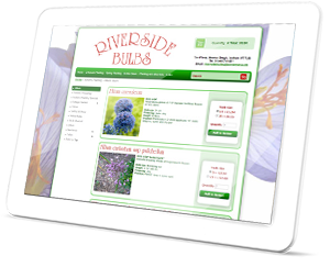 Riverside Bulbs Web Site on a Tablet